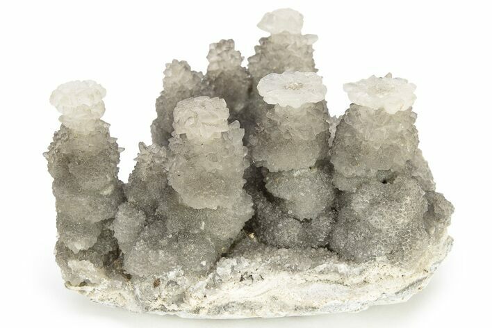 Cave Calcite Flower Stalactites - China #226187